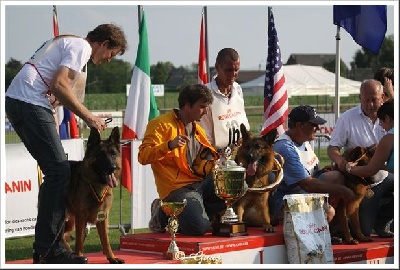 des meilleurs sangs - Cirrius Champion de Belgique 2009 VA1